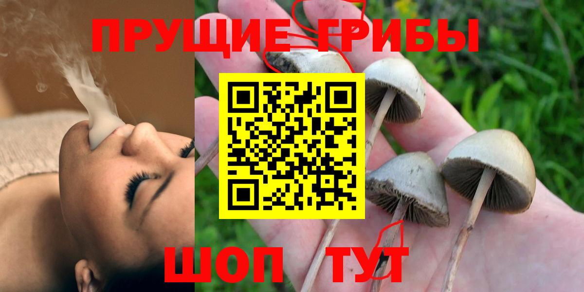 Галлюциногенные грибы Cubensis Бийск
